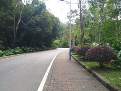 -火炉山森林公园