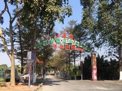 门面-伟记牛蹄(道滘店)