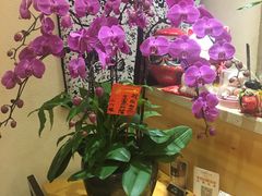 -丽和苑·自助寿喜锅(虹梅路店)