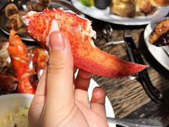 -金蜗牛