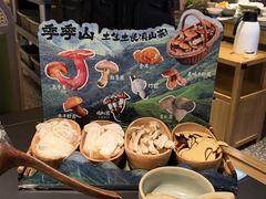 -季季山·云南野生菌火锅(上海首店)