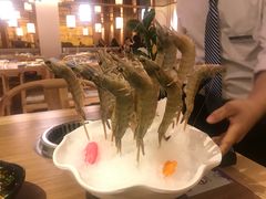 明虾-尚海豆捞(乐虹坊店)