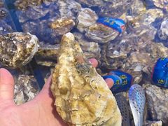 -海天盛宴潮汕蒸汽海鲜高端自助形象店