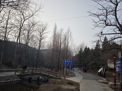 -白水寺森林公园
