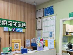 -瑞鹏宠物医院·夜间急症·心超·猫科(祖庙分店)