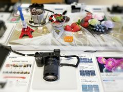 -Sony Store索尼(深圳深业上城店)