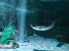 -沈阳海洋探索中心