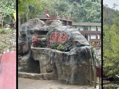 -野象谷景区