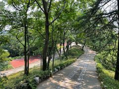 -九华山公园
