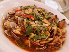 炒花蛤-汕头皇城酒店
