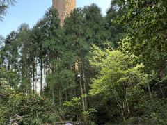 -雁荡山大龙湫景区