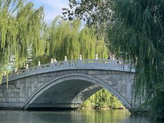-济南大明湖景区