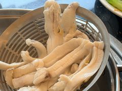 脆皖鱼腩-正能量脆肉鲩火锅