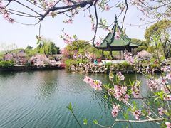 -无锡蠡湖国家湿地公园-蠡园
