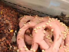 -HOT CRUSH趁热集合·现烤面包(环球港店)