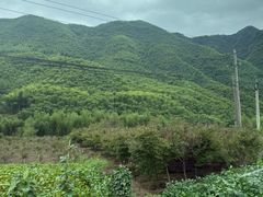 -将军关探险漂流