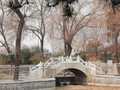 -黄村公园