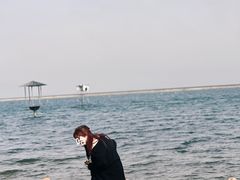 -碧海金沙