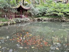 -宋宴(虎跑店)
