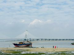 -北海金海湾红树林生态旅游区