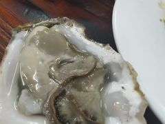 -四季美蚝皇