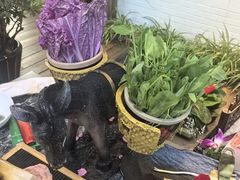 -慢丽江·云南野生菌土鸡锅(西山店)