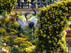 -上海共青森林公园