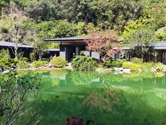 -云溪植物园