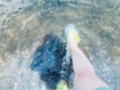 -阳宗海湿地