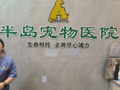 -半岛宠物医院24小时(科华中路店)