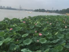 -大个子蒸饭