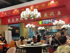 -新概念来凤鱼(璧山店)