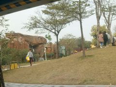 -海珠儿童公园