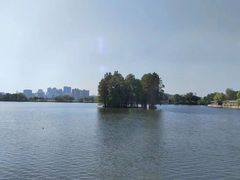 -东湖食堂·湖景餐厅•会议
