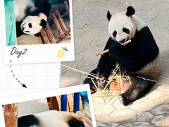 -沈阳森林动物园