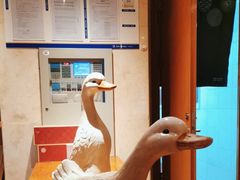 -四季民福烤鸭店(望京旺角店)
