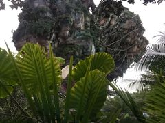 -奥兰多迪士尼动物王国乐园