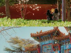 -妙应寺白塔