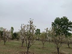 -野鸭湖国家湿地公园