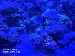 -太平洋海底世界