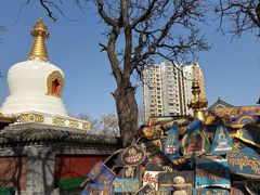 -护国法轮寺