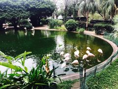 -九龙公园