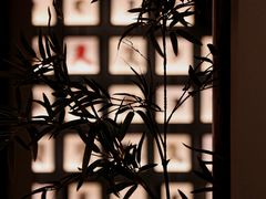 -四川大学博物馆
