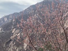 -北京凤凰岭