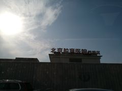 -北京大学肿瘤医院