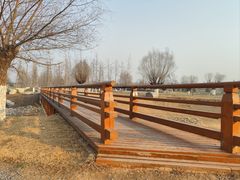 -汉长安城未央宫国家考古遗址公园