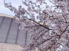 -龙美术馆(西岸馆)