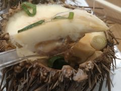 -海胆小馆(东北水饺·春柳店)