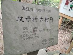 -朱家尖蜈蚣峙码头