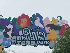 -西安秦岭野生动物园